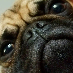 Meet your Posher, Kristy